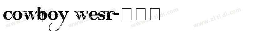 cowboy wesr字体转换